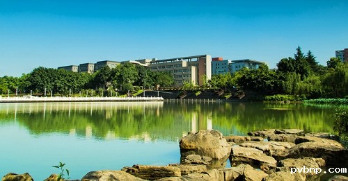 1672485960437012.jpg 2.jpg