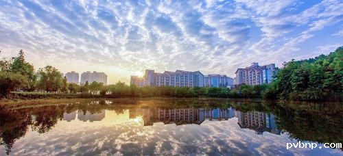 1672655662425403.jpg 2.JPG