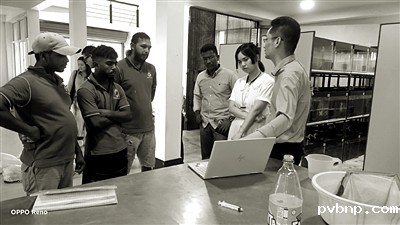 1709741589739754.jpg 1.jpg