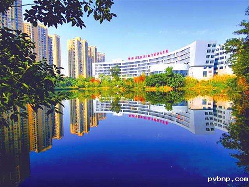 1713966477284198.jpg 1.jpg