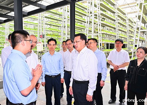 1716385696245605.jpg 2.jpg