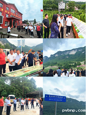 1720450766955583.png 2.png